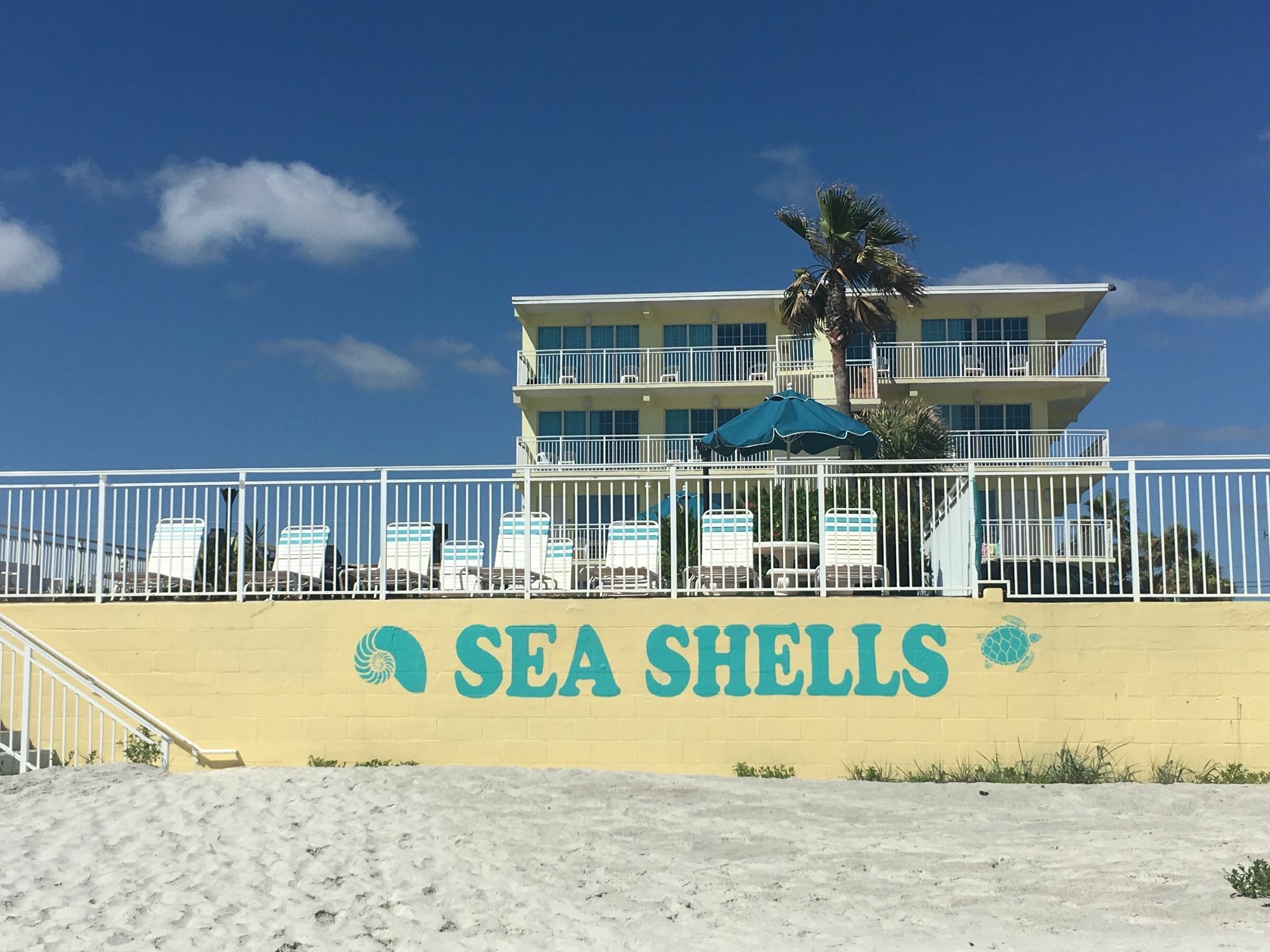 Sea Shells Beach Club Daytona Beach Exterior foto